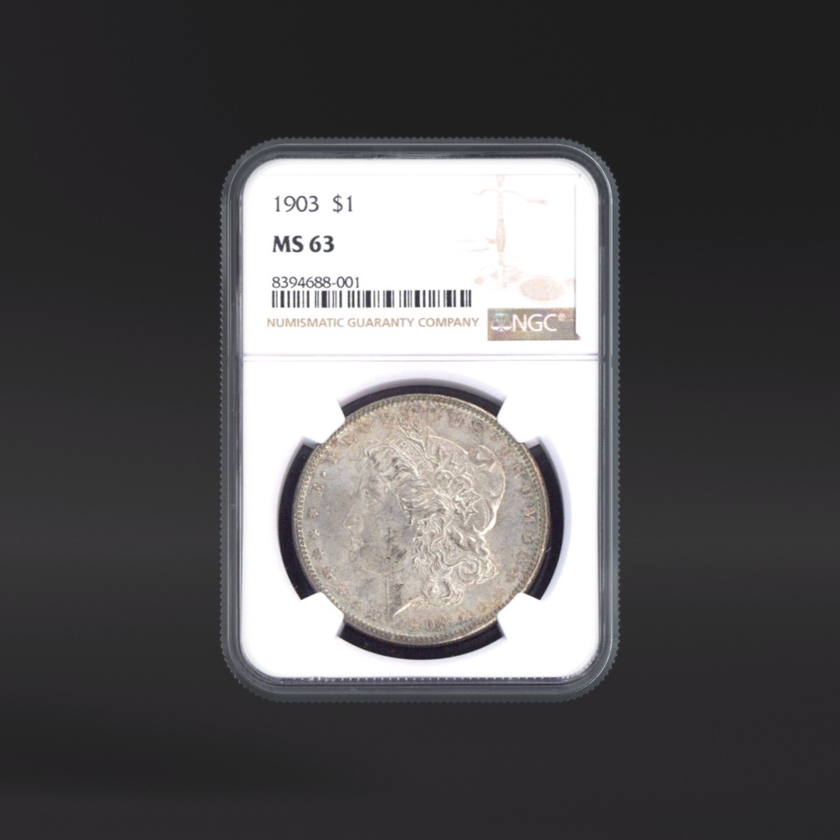 1904年 明治37年　日本円 NGC MS63 スラブ入り 1903 One Dollar NGC MS63 - US NGC MS63